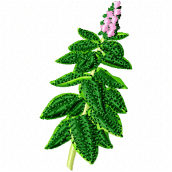 Flowers And Tree Embroidery Design 5